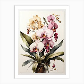 Orchids Flower Illustration Art Print 1 Art Print