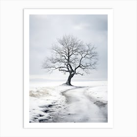 Winter Tree 3 Art Print