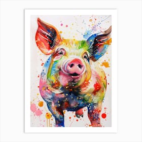 Pig Colourful Watercolour 3 Art Print