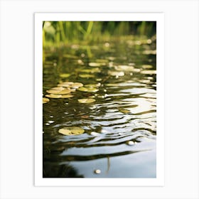 Lily Pads In The Water 1 Art Print