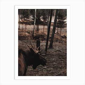 Forest Moose Art Print