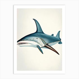 Narrowtooth Shark 3 Vintage Art Print