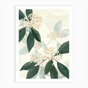 Elderberries Close Up Illustration 1 Art Print