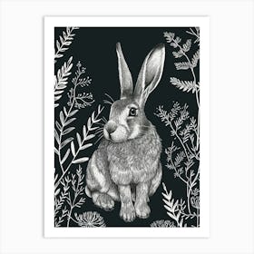 Flemish Giant Rabbit Minimalist Illustration 4 Art Print