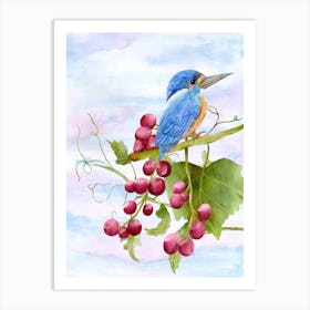 Blue Kingfisher Perched On Grapes Art Print