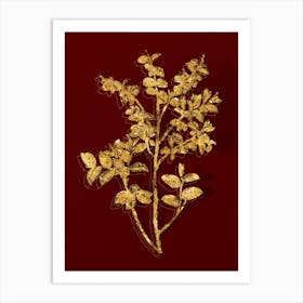 Vintage Bilberry Botanical in Gold on Red Art Print