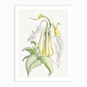 Angel S Trumpet Floral Quentin Blake Inspired Illustration 2 Flower Art Print