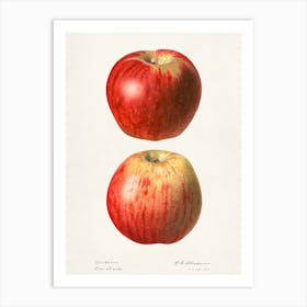 Apple Print 1 Art Print