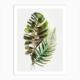 Wood Fern Watercolour Art Print