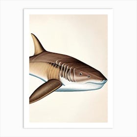 Port Jackson 2 Shark Vintage Art Print