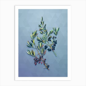 Vintage Wild Olive Botanical Art on Summer Song Blue n.1861 Art Print