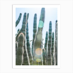 Reach for the Sky Art Print