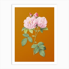 Vintage Italian Damask Rose Botanical on Sunset Orange n.0001 Art Print