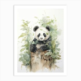 Panda Art Drawing Watercolour 3 Art Print