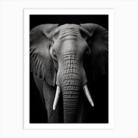 Black And White Photograph Of A Elephant Art Print