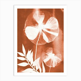 Bronze Poppy Art Print