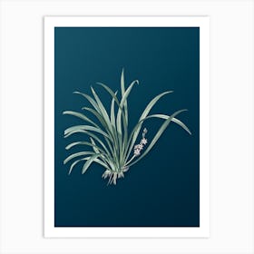 Vintage Sansevieria Carnea Botanical Art on Teal Blue n.0619 Art Print