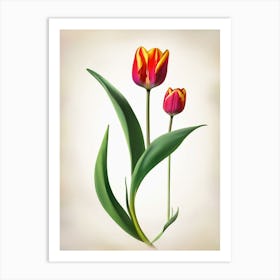 red tulip art print Art Print