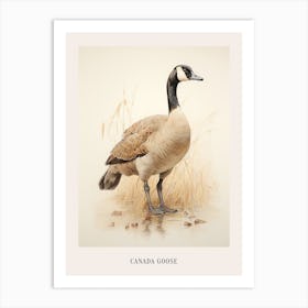Vintage Bird Drawing Canada Goose 3 Poster Art Print