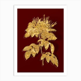 Vintage Pasture Rose Botanical in Gold on Red n.0616 Art Print