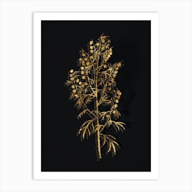 Vintage Madeira Wormwood Botanical in Gold on Black n.0500 Art Print