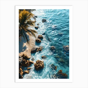 Tropical Beach With Palm Trees Art Print