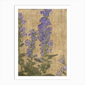 Delphinium (1915), Hannah Borger Overbeck Art Print