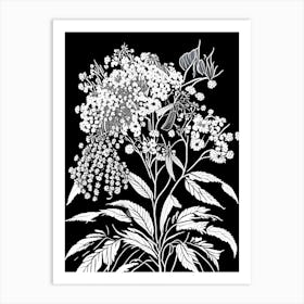 Elderberry Blossom Wildflower Linocut 1 Art Print