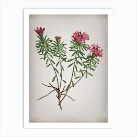 Vintage Garland Flowers Botanical on Parchment n.0749 Art Print