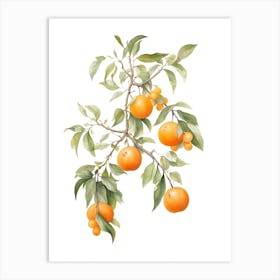 Oranges On A Branch 2 Art Print