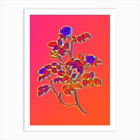 Neon Sweetbriar Rose Botanical in Hot Pink and Electric Blue n.0348 Art Print