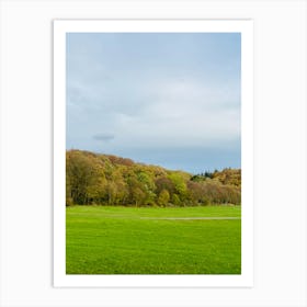 Birmingham Park Art Print