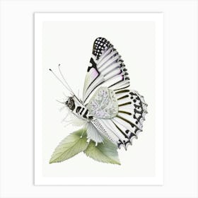 Marbled White Butterfly Decoupage 1 Art Print