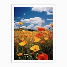 Poppies In A Field Art Print