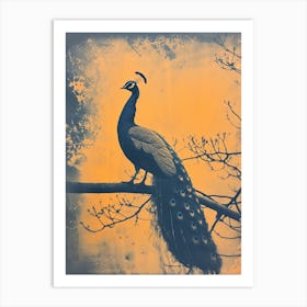 Vintage Orange & Navy Blue Peacock On A Tree Branch 1 Art Print