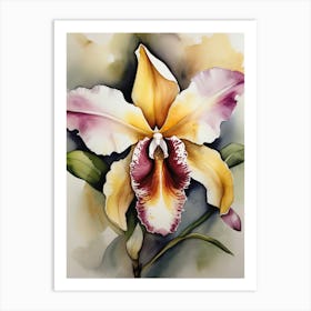 Brazil National Flower Orchid Art Print