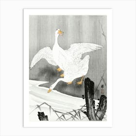 Two Geese On A River (1900 1930), Ohara Koson Art Print