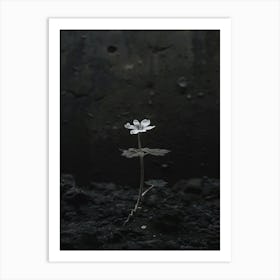 Black And White Flower 3 Art Print