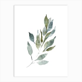 Watercolor Leaf, Olive Branch 5 Art Print