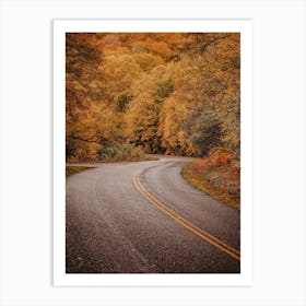 New England Forest Road Art Print