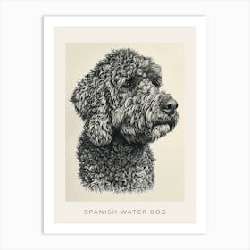 Spanish Water Dog Line Sketch 3 Poster Art Print