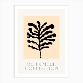 Botanical Collection Art Print