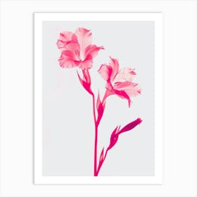 Hot Pink Gladiolus 2 Art Print
