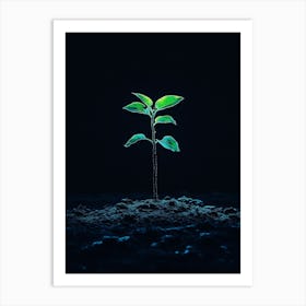 Tree In The Dark 34 Art Print