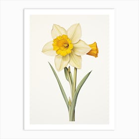 Daffodils Flower Vintage Botanical 2 Art Print