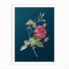 Vintage Blood Red Bengal Rose Botanical Art on Teal Blue n.0107 Art Print