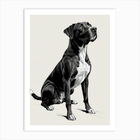 Black And White Dog Art Print