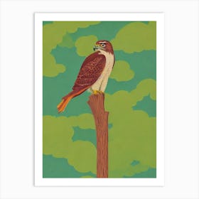 Red Tailed Hawk Midcentury Illustration Bird Art Print