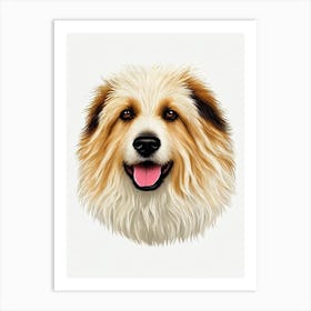 Polish Lowland Sheepdog Illustration Dog Art Print