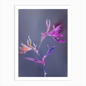 Iridescent Flower Kangaroo Paw 1 Art Print